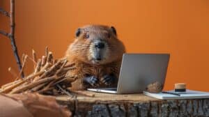Praxis-Tipps für Barrierefreie E-Mails