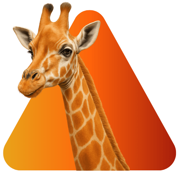 Barrierefreies Design für bessere Nutzererfahrung und höhere Rankings - Giraffe ragt über grafische Form als Symbol für Zugänglichkeit