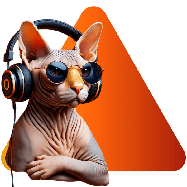 Stylish cat wearing headphones and sunglasses listening intently – digitaagenten digital marketing