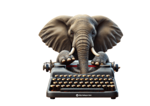 SEO Text Agentur Berlin