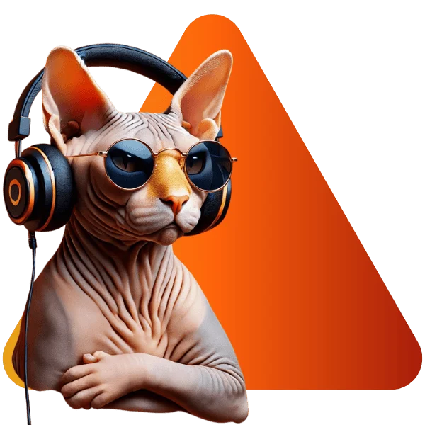 Google Unternehmensprofil Optimierung für mehrere Standorte - Katze mit Kopfhörern und Brille